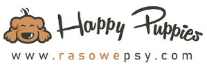 Happy Puppies – Hodowla psów Sfora Pudli i Maltipoo Polska